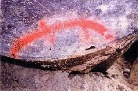 Tank Corrosion