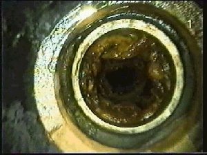 Borescope Image